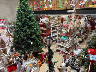 Rudolph & Co has reopened in a brand-new, bigger space!