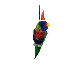Rainbow Lorikeet